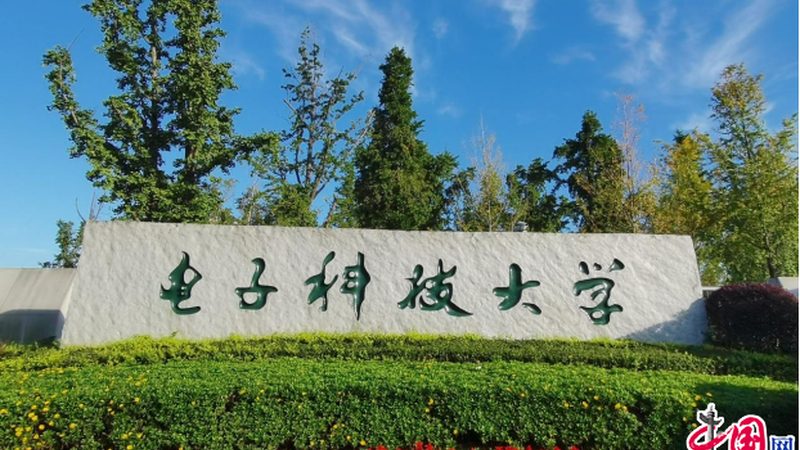 车载电子产品参数揭秘：如何准确解读与选择**